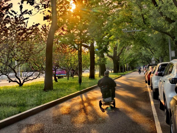 诚利和 北京今天多云转晴，最高气温23℃，气温回升适宜出行