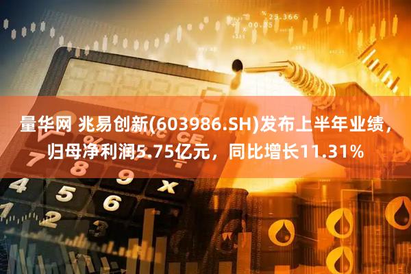 量华网 兆易创新(603986.SH)发布上半年业绩，归母净利润5.75亿元，同比增长11.31%